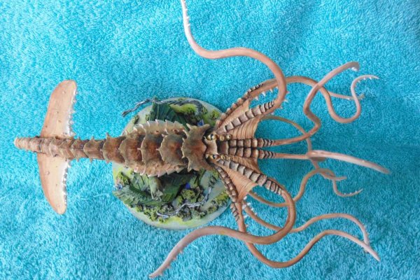 Kraken13at