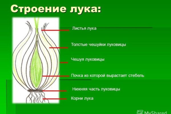 Kraken ссылка tor официальный сайт